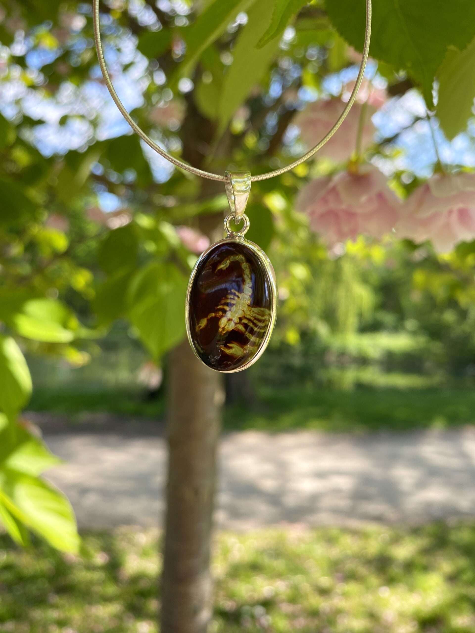 Wisiorek srebrny z bursztynem wiśniowym grawerowany Skorpion