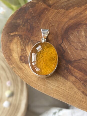 Wisior z bursztynem naturalnym